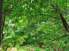 -天津盘山风景名胜区