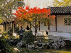 -秋霞圃
