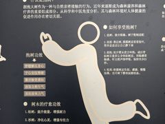 -云溪植物园