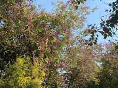 -怡海公园(桂城街道)