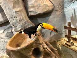 -Zoolung Zoolung动物主题公园(海信广场店)