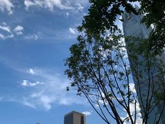 -中央广播电视总台(光华路办公区)