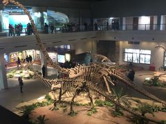 -自贡恐龙博物馆