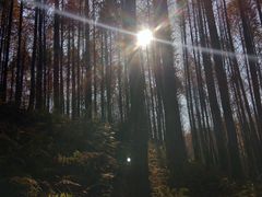-山王坪喀斯特国家生态公园