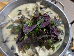 -史记安仁鱼头(浙闽赣食用菌交易中心店)