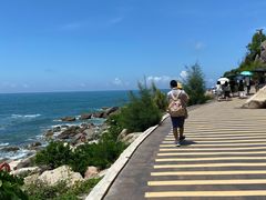 -广东惠东海龟国家级自然保护区