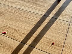 -红状元·空中花园火锅(金龙大道店)