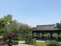 -日出青木·杭帮菜名店