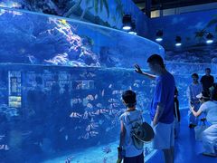 -海合安成都极地海洋公园