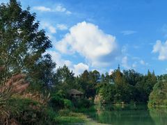 -桤木河湿地公园