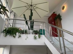 -新梦百货(民族店)