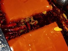 -红鼎坊·老成都火锅(新南门店)