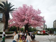 -宁波杉井奥特莱斯广场