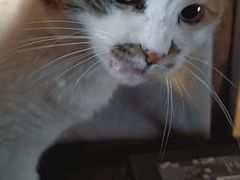 -天地無用GAME BAR