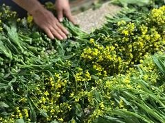 -细村农贸综合市场