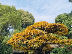 -成都杜甫草堂博物馆
