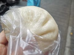 葱肉包-清真石家包子(大皮院总店)