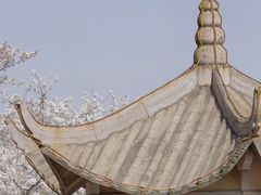 -苏州上方山国家森林公园