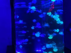 -梦幻海洋王国(吾悦广场张家港店)