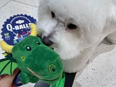 -帕帕拉兹宠物(亚洲旗舰店)