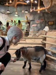 -Zoolung Zoolung动物主题公园(海信广场店)