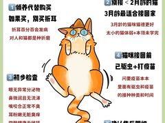 -Bastet sally猫舍购宠(静安店)