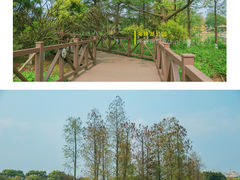 -海珠湖公园