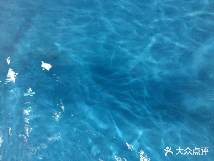 上海玛雅海滩水公园水图片