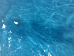 水-上海玛雅海滩水公园
