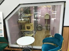 -联合动物医院(光谷诊疗中心)