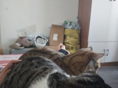 -咱家王新国把子肉(县东巷店)