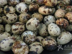 3-柳沟豆腐宴69号福豆堂
