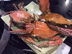 -大锅强·蒸海鲜青岛菜(吾悦广场店)