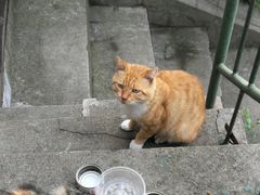 -大蜀山国家森林公园