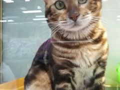 -乐宠宠物店(世纪金源店)