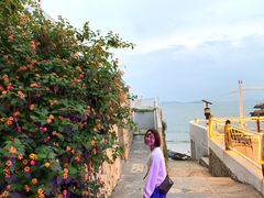 -桃花岛风景旅游区