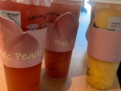 -雾与山茶(大禹城店)