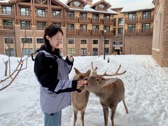 -长白山华美胜地滑雪场