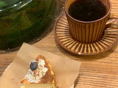 -自由生长植物工作室(深港花卉中心店)