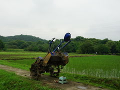 -八卦田遗址公园