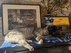 -老屋咖啡