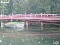 -紫霞湖公园