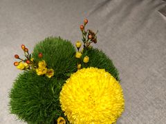 -南堂馆·新川菜(春熙路店)