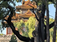 -北京市劳动人民文化宫(太庙)