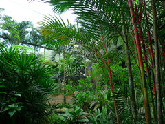 -蝴蝶山庄(Taman Rama-rama & Reptilia Melaka)