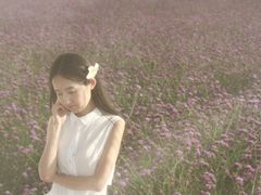 -紫颐香薰山谷景区