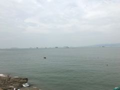 -八婆婆烧仙草(曾厝垵店)