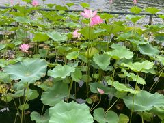 -伊隆斋(什刹海店)