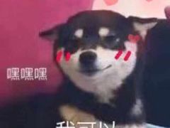 -犀牛家猪排