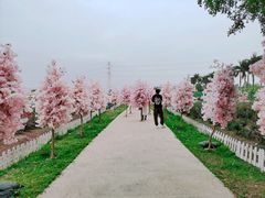 -盈香心动乐园